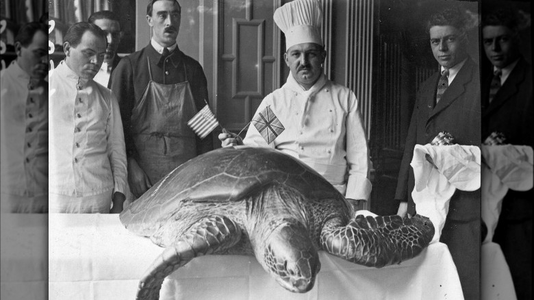 chef posing with giant turtle