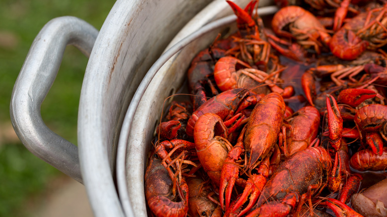 Crawfish Boil 