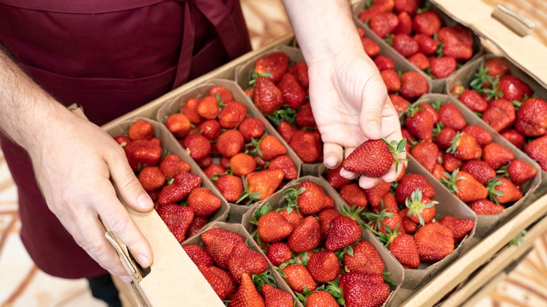 strawberries for sale