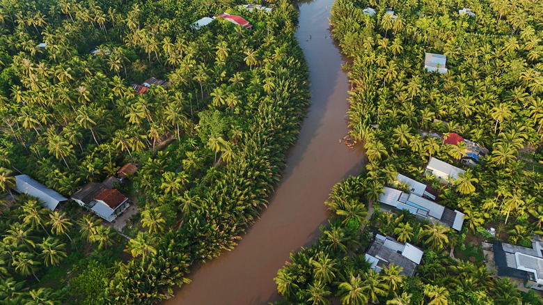 Mekong River Delta