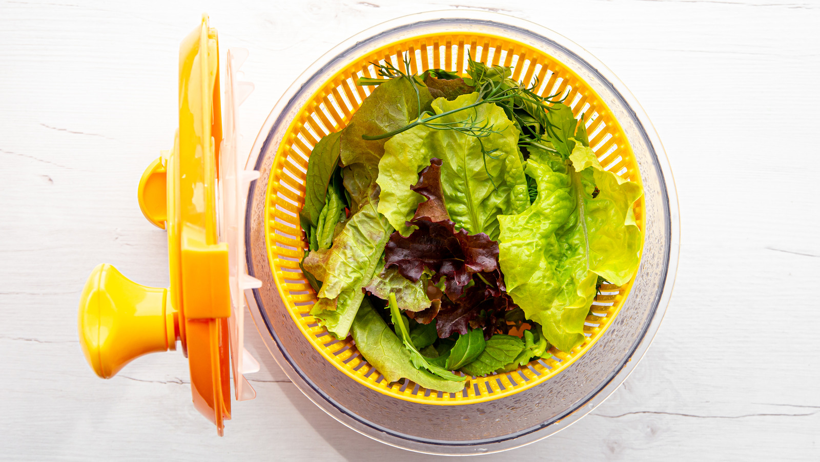 Are Salad Spinners Worth The Money? Our Pick For Best Salad