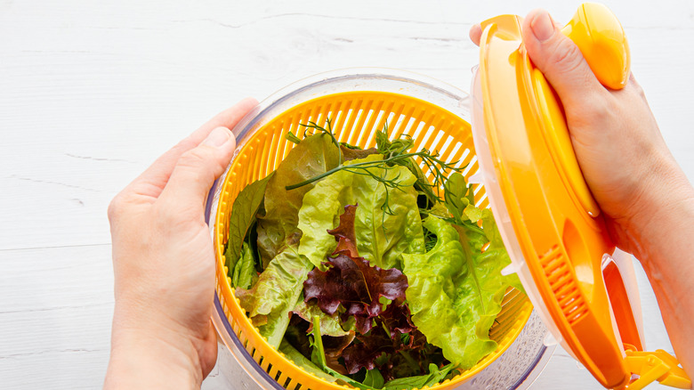 washing greens in salad spinner