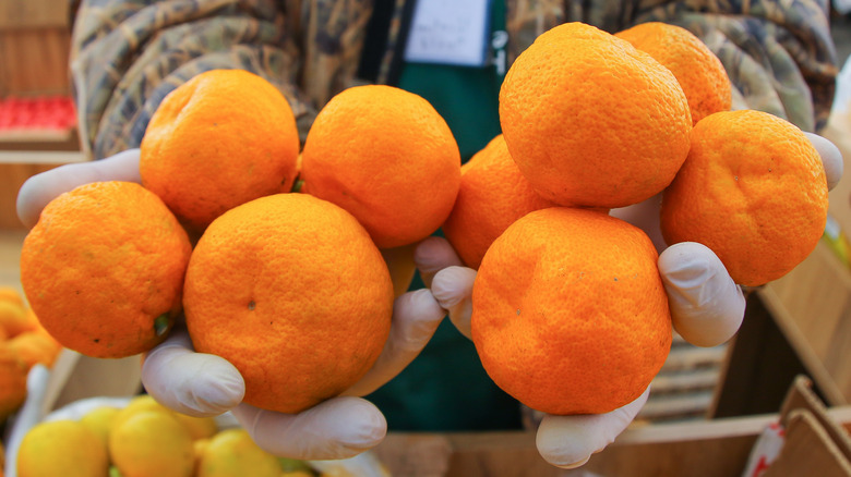 cashier holding oranges