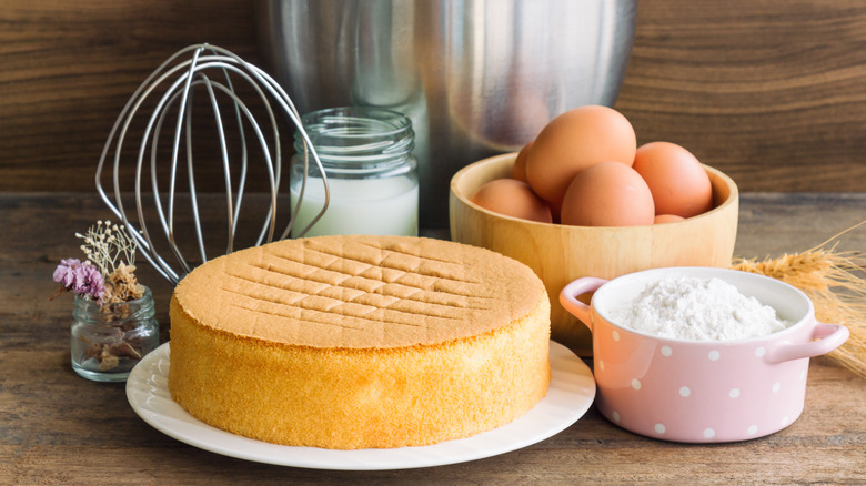 Hot milk cake on white plate