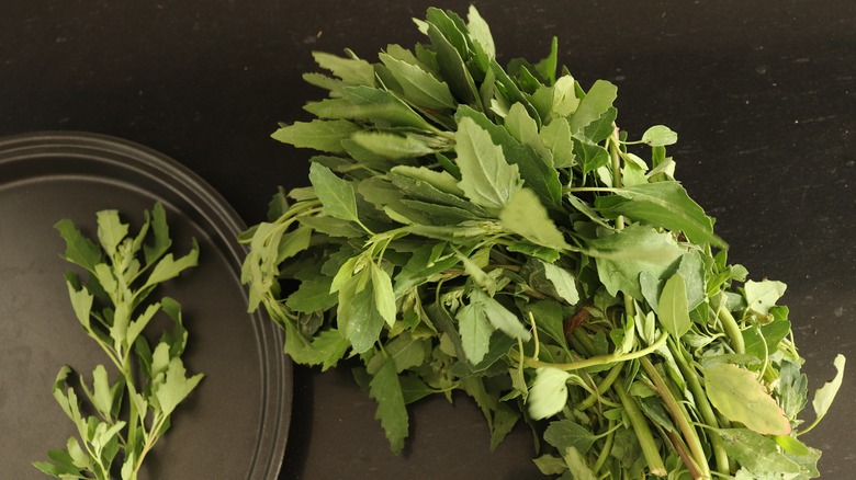 Lambsquarters on table