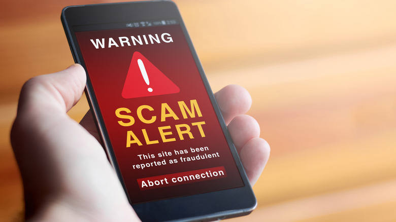 scam alert on mobile phone