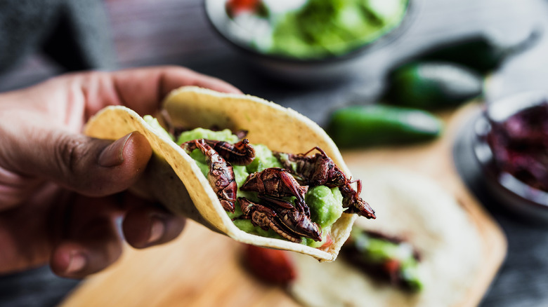 chapulines served in a taco