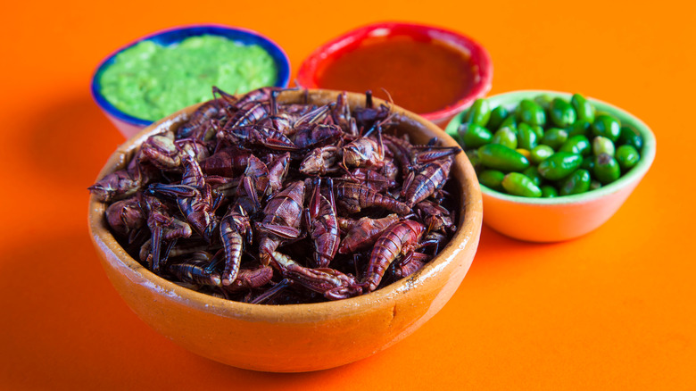 chapulines served with condiments