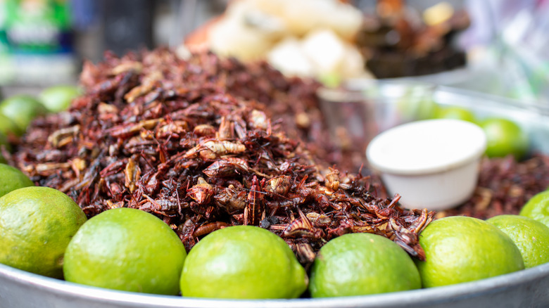 chapulines served on the street