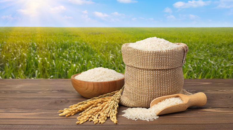 white rice field bag bowl