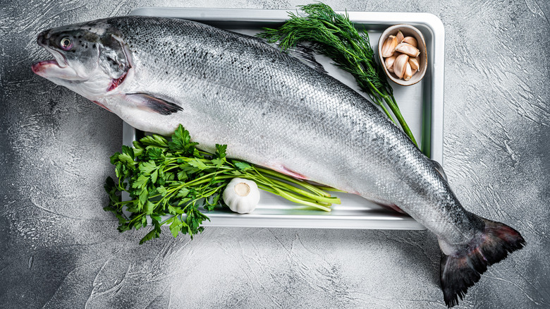 fresh fish and herbs in tray