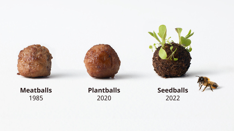 Ikea Swedish meatballs and seedballs