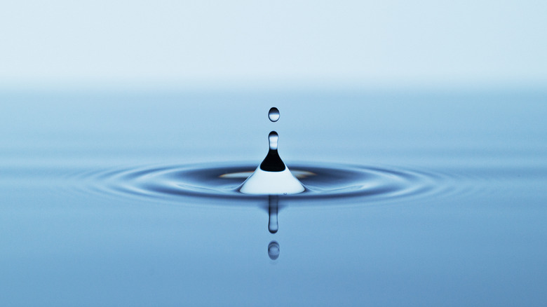 Water droplet and ripples