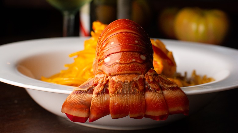 lobster pasta with lobster tail