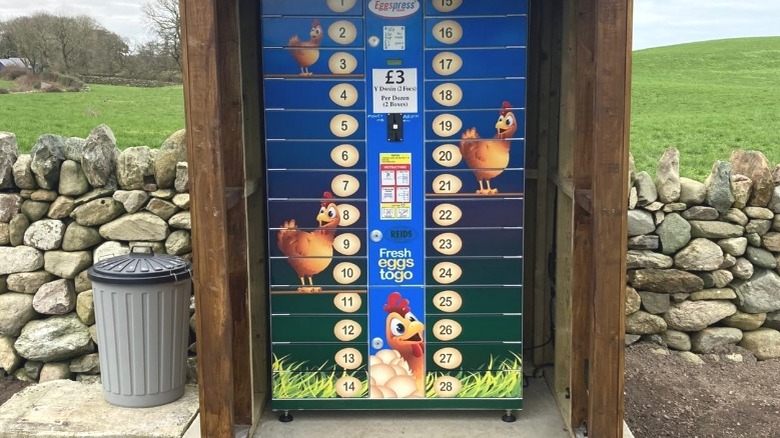 egg vending machine in park in Ireland