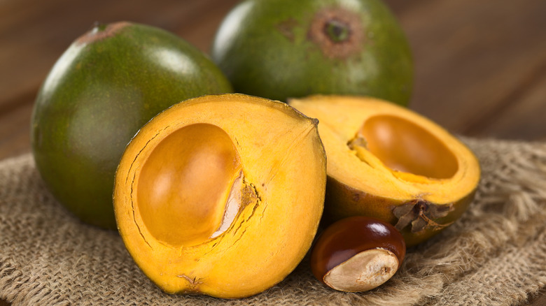 lucuma fruit