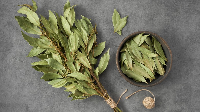 Bundle of dried bay leaves