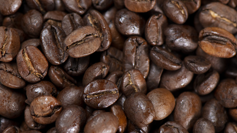 closeup of coffee beans