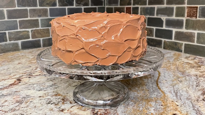 Frosted chocolate cake on tray