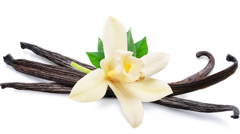 Vanilla beans and flower