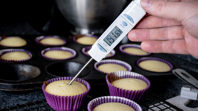 Cake thermometer in a cupcake