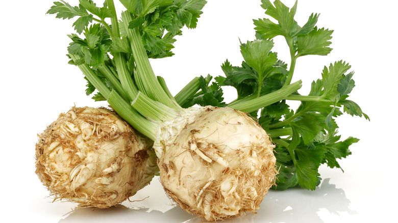 celery root