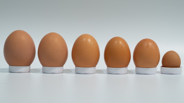 Different sizes of eggs