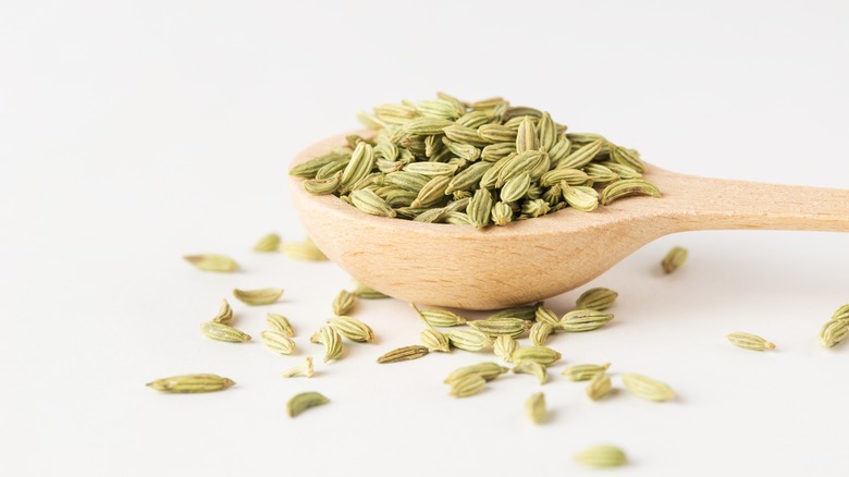 fennel seeds spoon