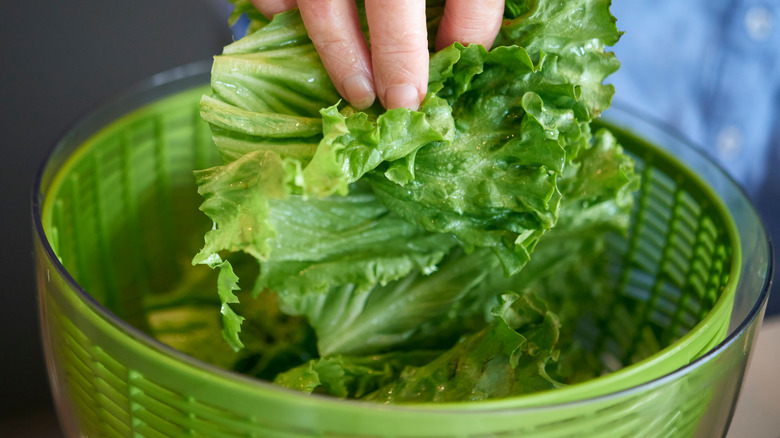 Salad spinner