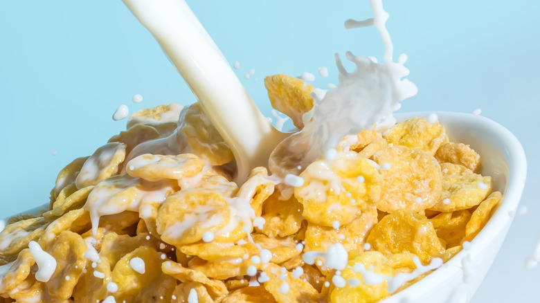 Milk and cereal in bowl