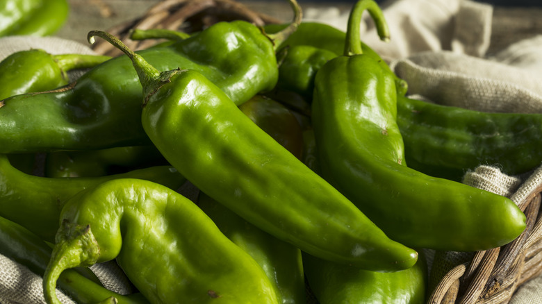 hatch chiles piled in basket