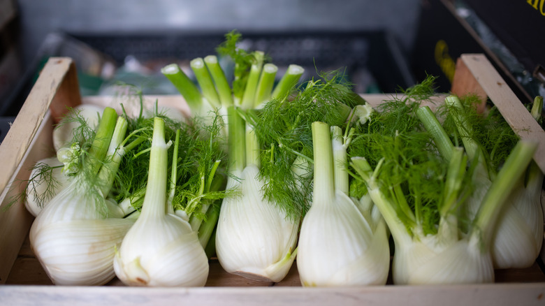 fennel in a wooden box