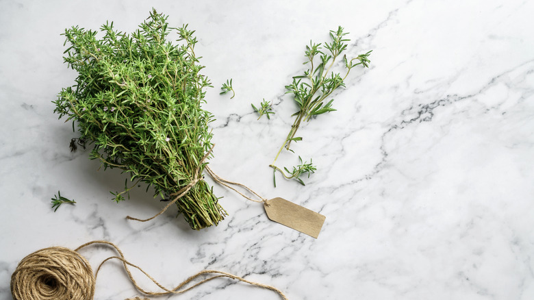 bouquet of fresh thyme