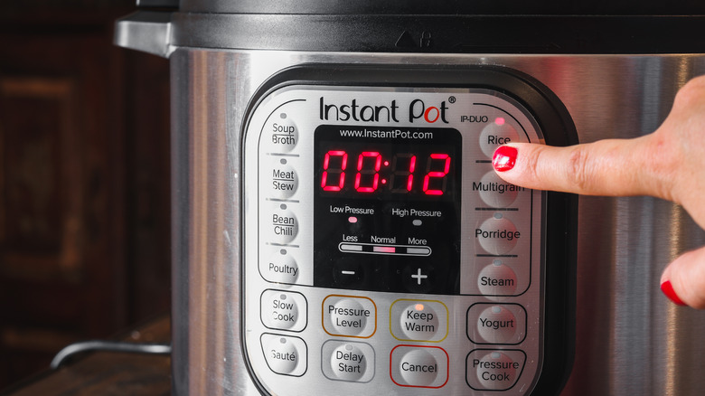 How to Cook Meat in an Instant Pot: Everything You Need to Know - Parsnips  and Pastries