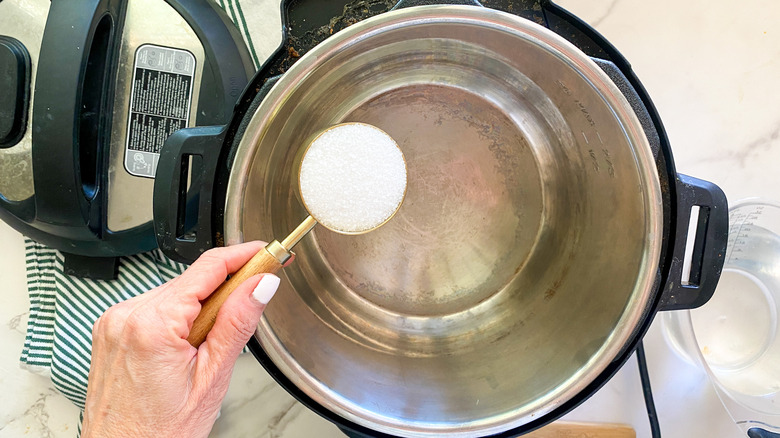 adding salt to the instant pot