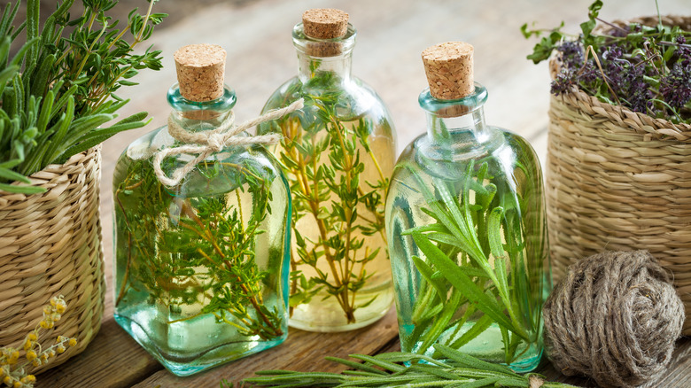 many herbs infusing in bottles