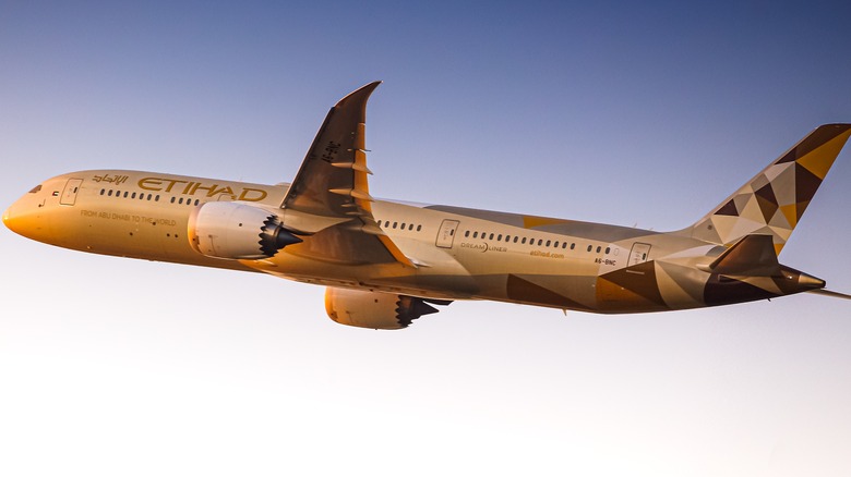 Etihad Airways plane