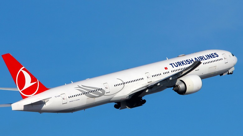 Turkish Airlines plane