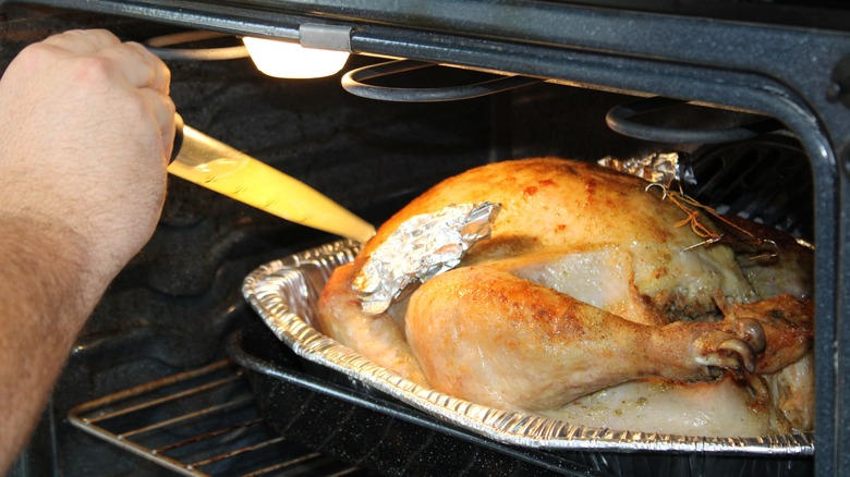 basting turkey with bulb in oven