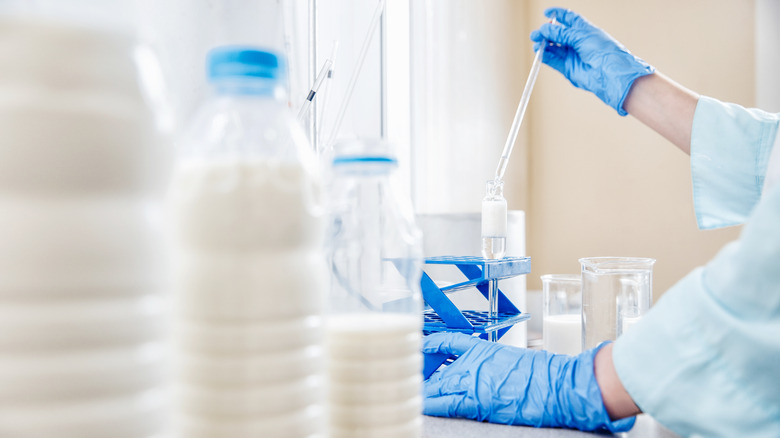 milk being tested in a lab