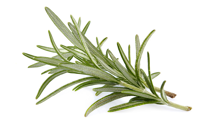 Is It Ever Okay To Use Rosemary With The Stem Attached?