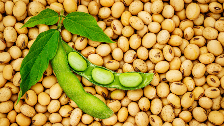 edamame on soybeans