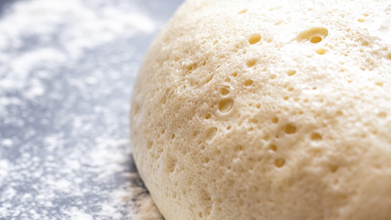 Fermenting bread dough