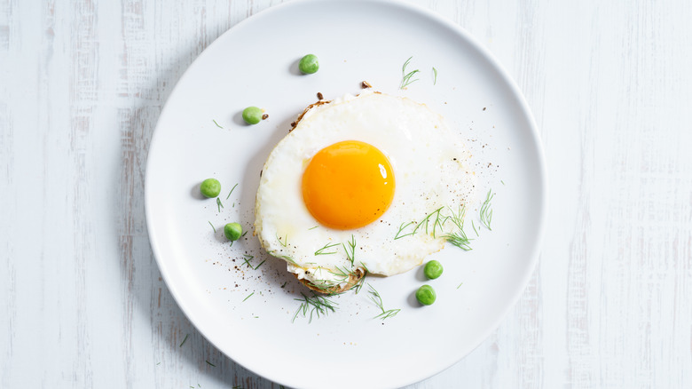 A fried egg on a plate