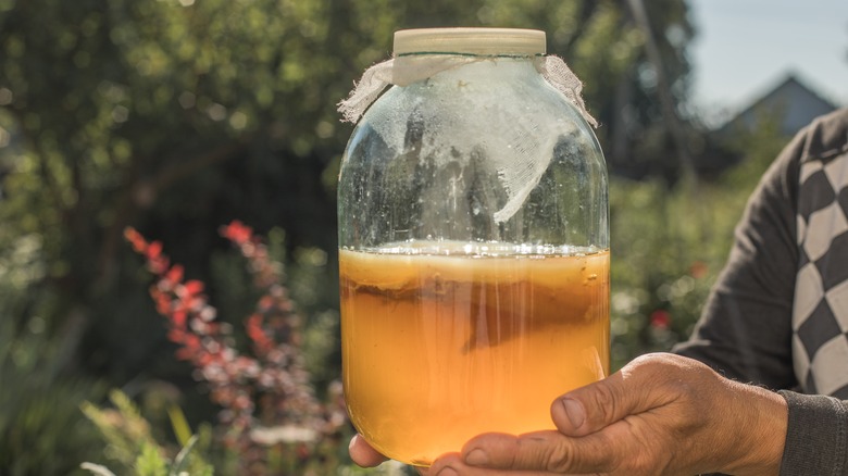 Glass jar of homemade kombucha