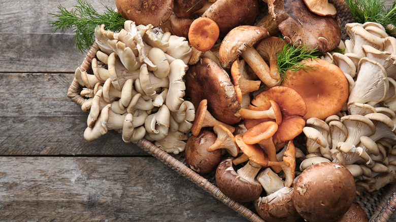 can you eat moldy mushrooms?