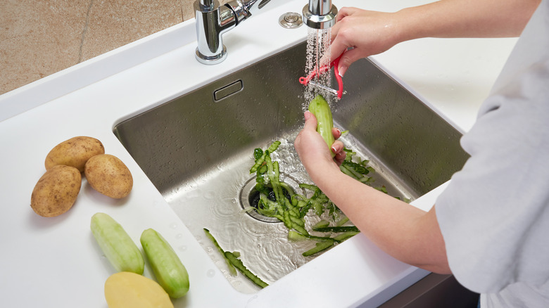 Food in sink garbage disposal