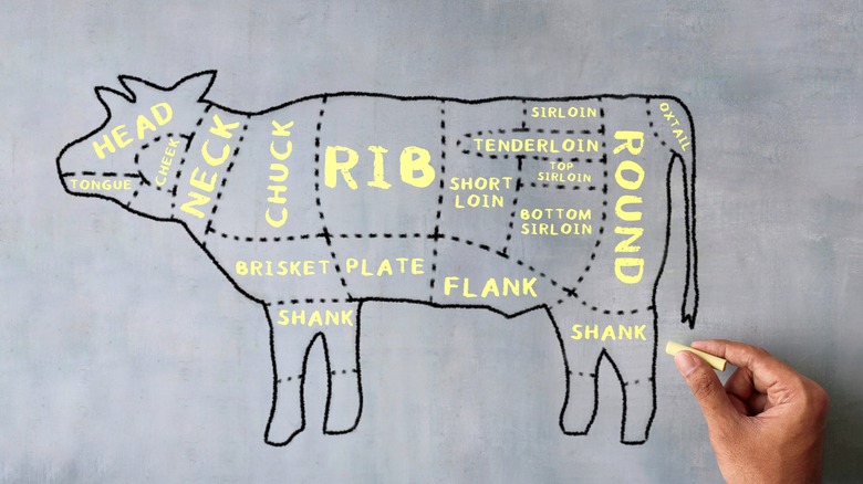 hand-drawn cuts of beef diagram