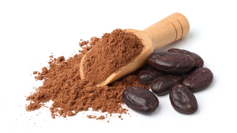 Hot cacao powder in scoop next to cacao beans