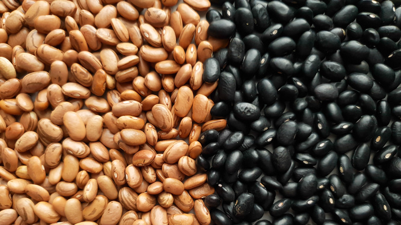 is-there-a-nutritional-difference-between-black-beans-and-pinto